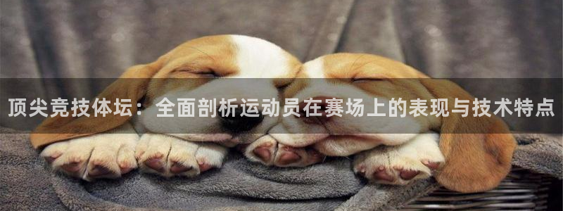 球速体育是正规平台吗：顶尖竞技体坛：全面剖析运动员在赛场上的表现与技术特点