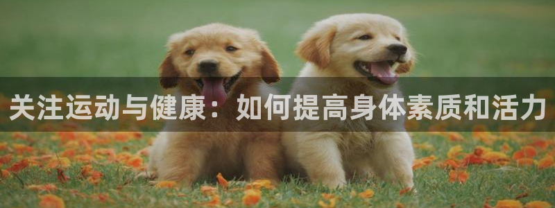 球速体育黑钱