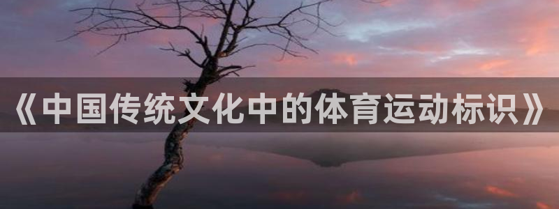 球速体育登录入口