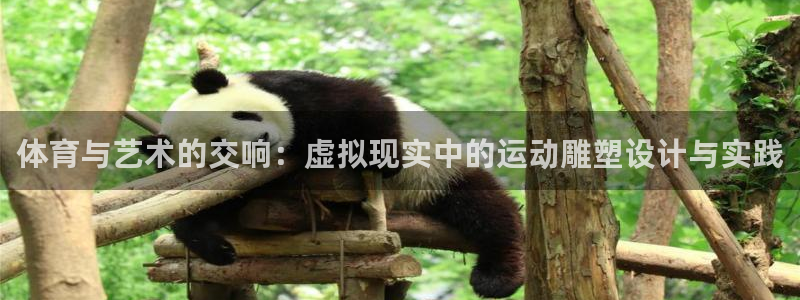 球速体育网页版登陆