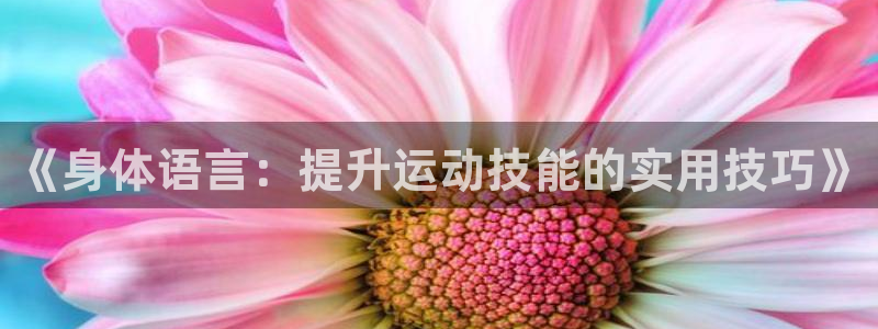 球速体育网页版登录入口：《身体语言：提升运动技能的实用技巧》
