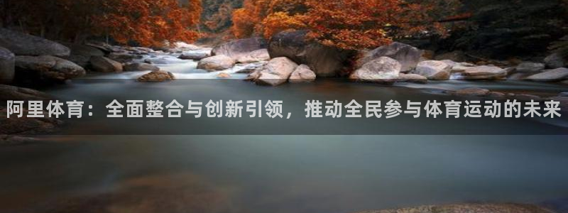 球速体育pg：阿里体育：全面整合与创新引领，推动全民参与体育运动的未来